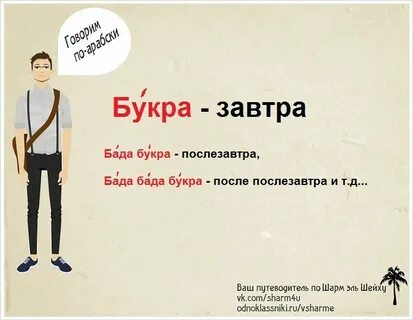 Бад букра