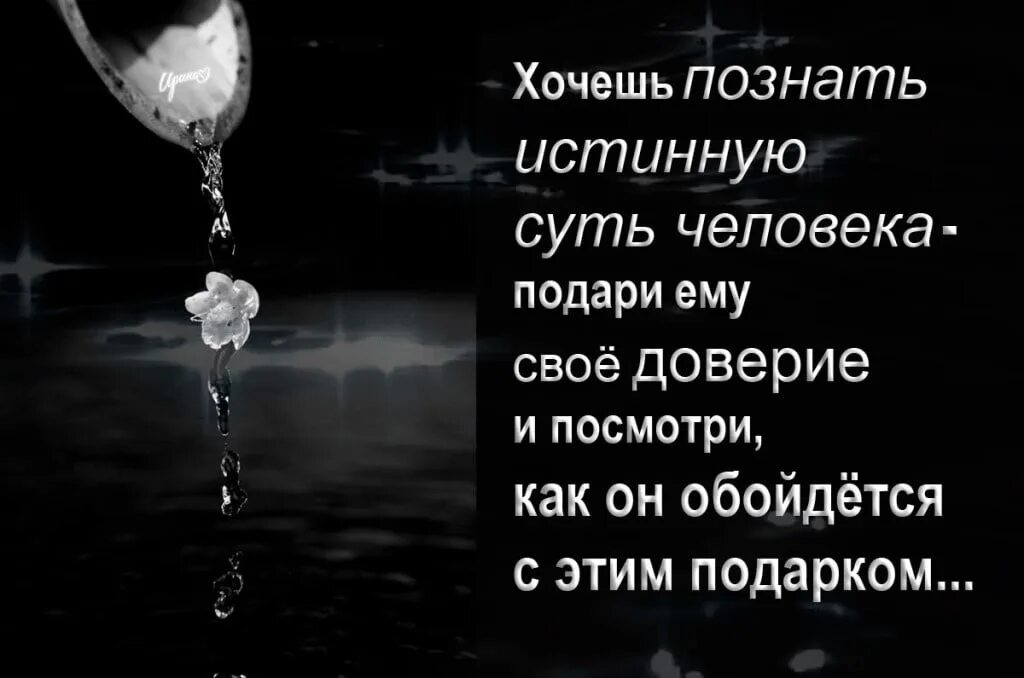 Не верю пропало все доверие. Высказывания про доверие. Стихи про доверие к людям. Афоризмы про доверие к людям. Статусы про любовь и доверие.