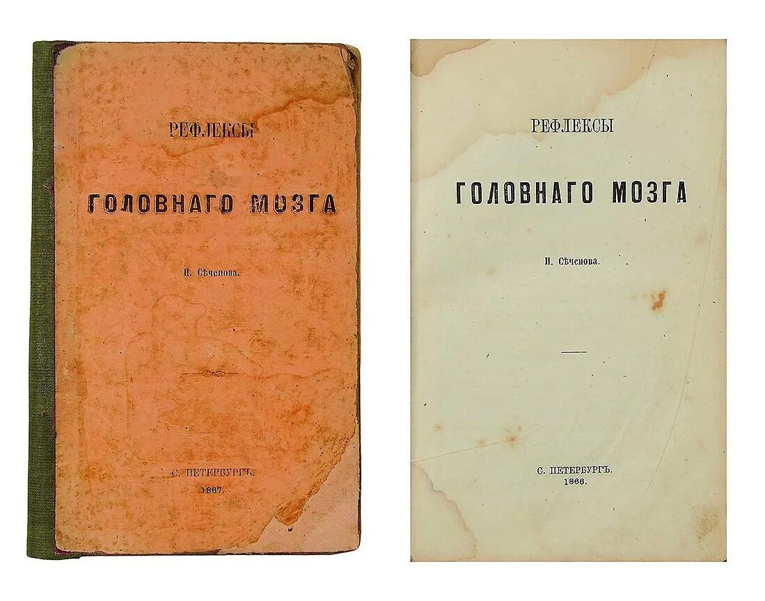 Рефлексы мозга книга. Рефлексы головного мозга Сеченов книга. «Рефлексы головного мозга» 1866. Рефлексы головного мозга основной труд и.м Сеченова.