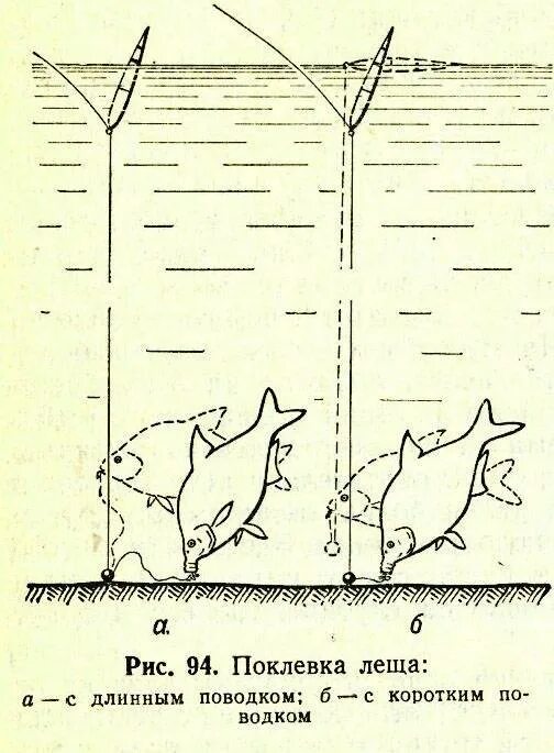 Ловля леща летом. Поплавочная снасть на леща. Оснастка поплавочной удочки на леща на реке. Поплавочная снасть для ловли подлещика зимой. Ловля леща летом на озере на поплавочную удочку.