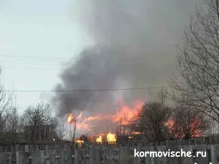 Гисметео кормовище