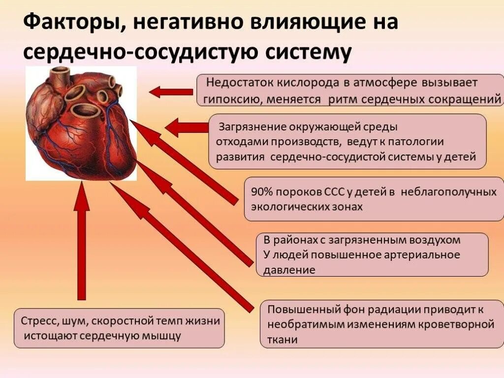 Какие факторы влияют на сердечно сосудистую систему. Заболевания сердечно-сосудистой системы. влияние на сердечно-сосудистую систему. факторы влияющие на сердечно сосудистую систему. причины заболевания сердечно-сосудистой системы.