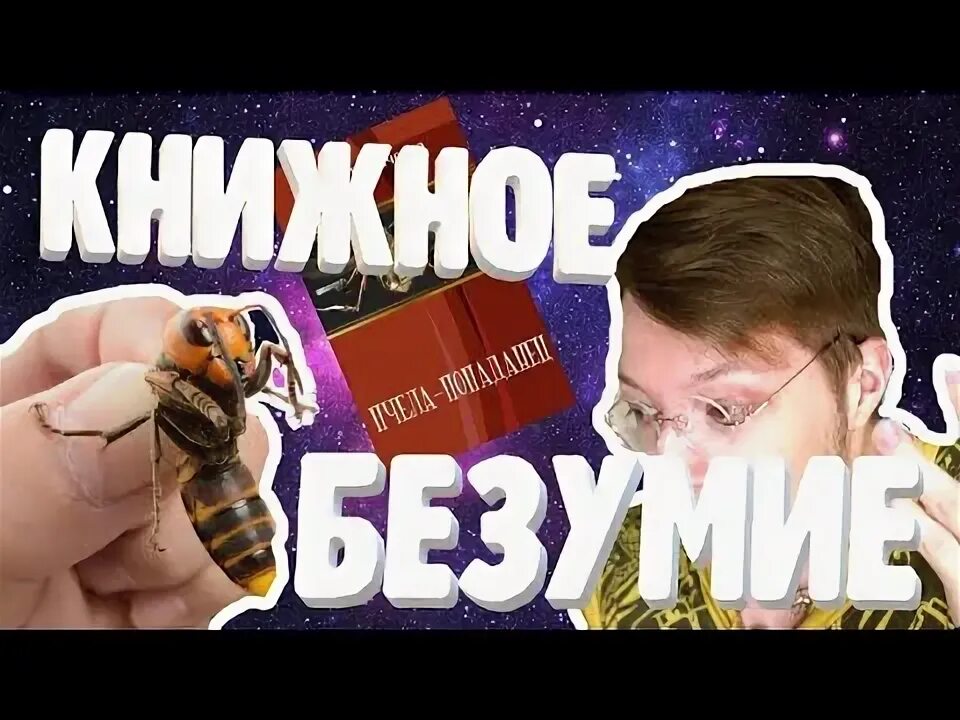 Пчела попаданец. Пчела попаданец книга. пчела попаданец с донбасса.