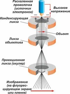 Принцип электронного микроскопа