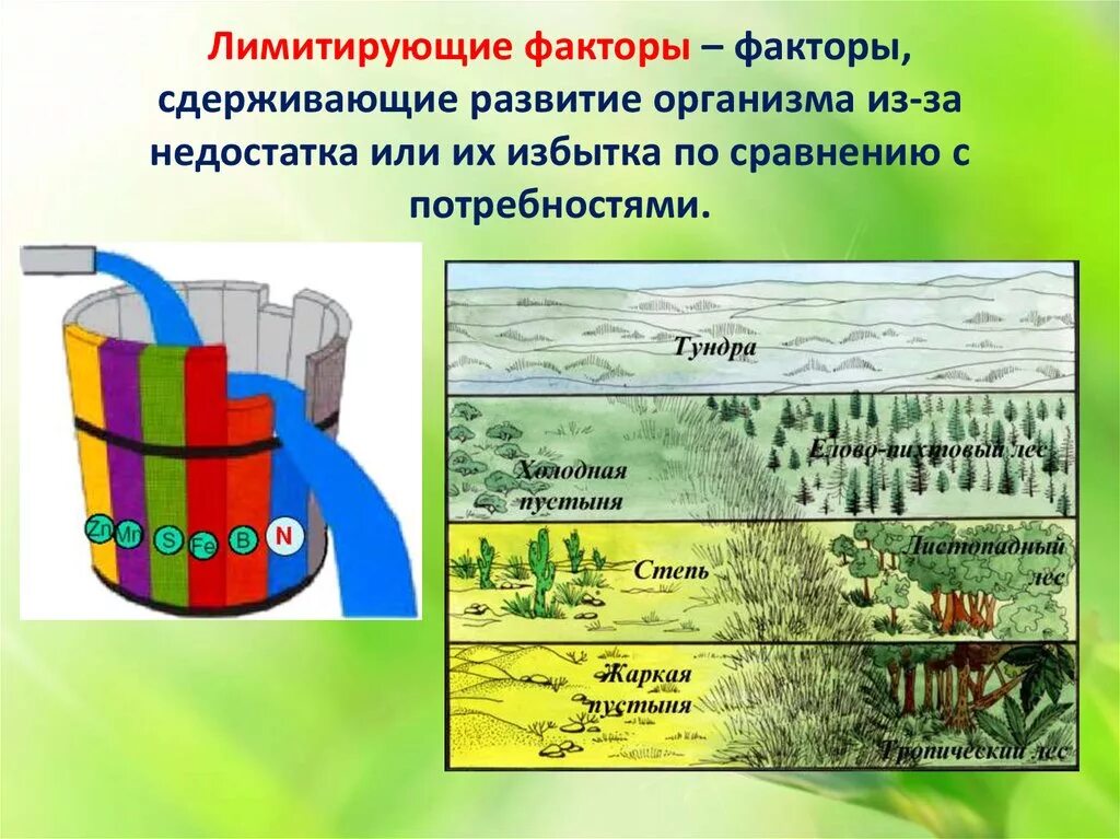 Закон ограничивающего фактора кратко. Ограничивающие факторы для растений. Лимитирующие факторы примеры. Пример ограничивающегося фвктора. Лимитирующие факторы для растений.