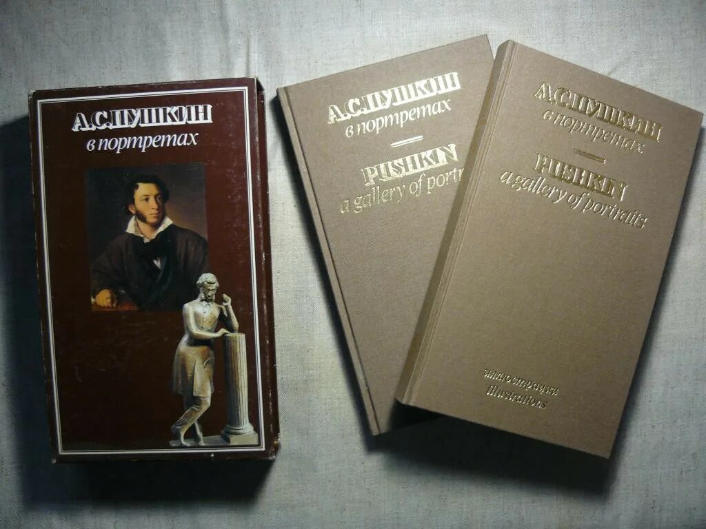 Обложка книги с портретом. Пушкин в 2-х томах. Павлова е.в. а.с. Пушкин в портретах. В 2-Х томах.. Павлова Пушкин в портретах. Павлова е п