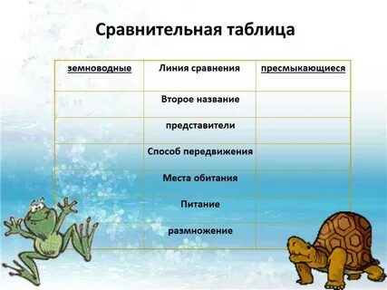 Чем отличаются пресмыкающиеся от земноводных
