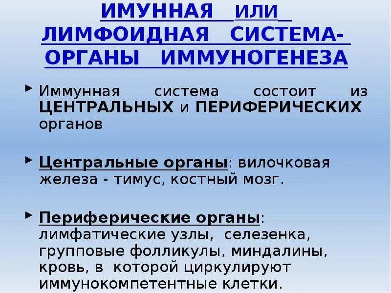 Строение и функции органов иммунной системы таблица. Иммунная система. Органы иммуногенеза. Строение органов иммунной системы таблица. Органы иммуногенеза.