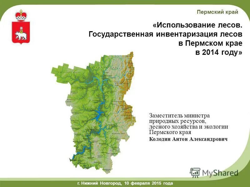 Какой природной зоне находится пермский край. Природные зоны Пермского края карта. Леса Пермского края карта. Лесные зоны Пермского края. Карта лесов Пермского края.