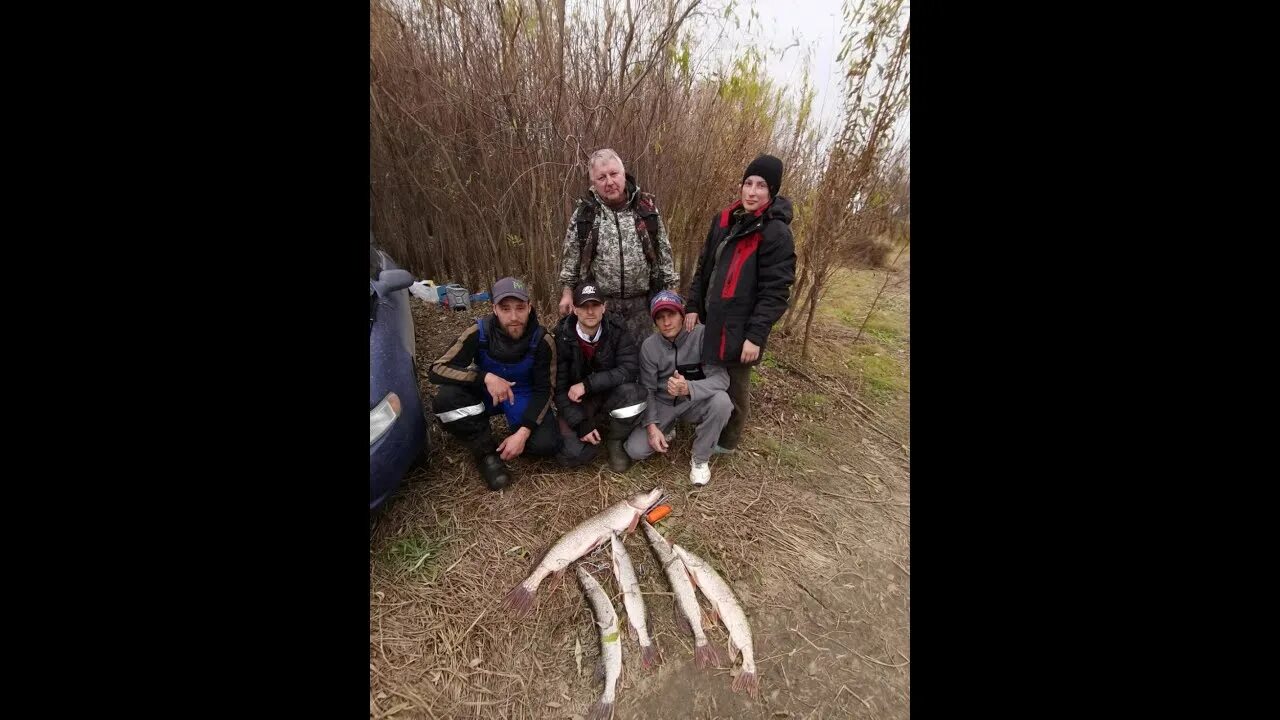 Щука на иртыше. Рыбалка 55 регион. Рыбалка 55 регион. Озеро черталы омская область рыбалка. Рыбалка 55.