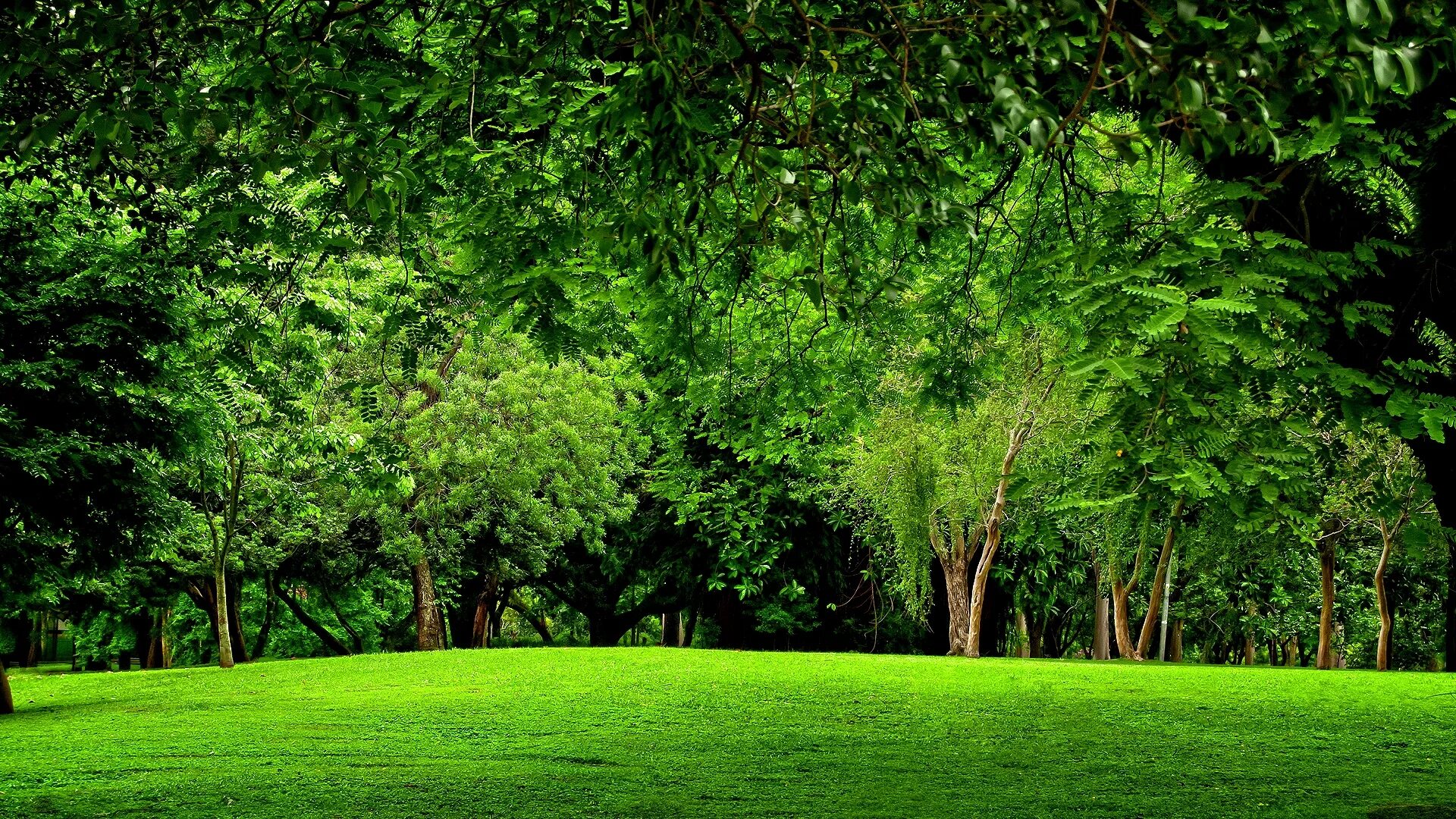 Greenery