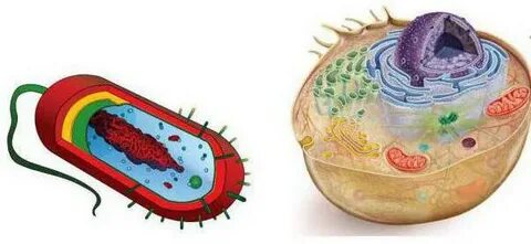 Олар менің клиторымды темекімен өртеп жіберді.