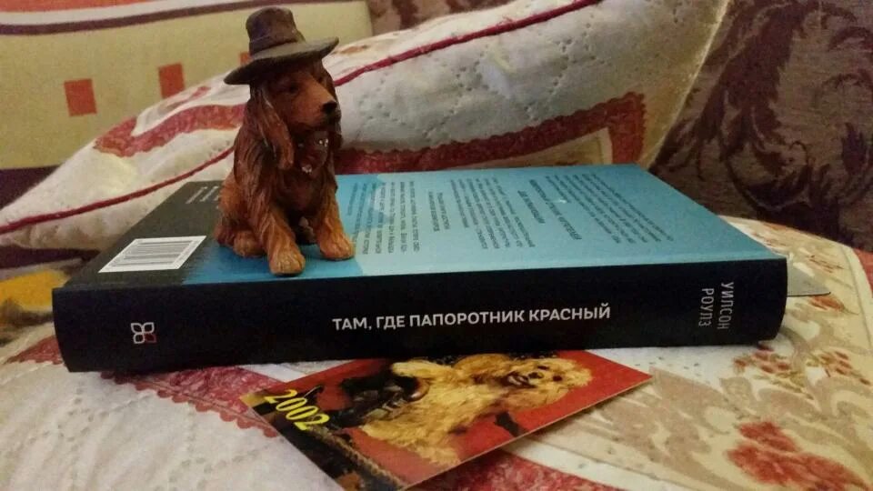 Пока цветет папоротник курцын. Пока не зацветет папоротник. Уилсон роуз там где папоротник красный. Пока цветет папоротник 2. Там где цветет папоротник книга.