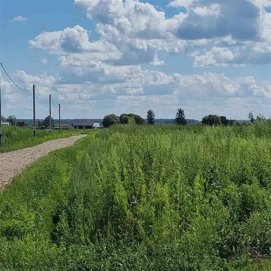 благовещенское 2 участки