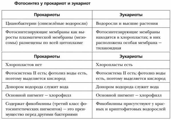 Сравните прокариот и эукариот. Различие клеток прокариот и эукариот таблица. Отличительные признаки прокариот и эукариот таблица. Различия эукариот и прокариот клеток. Таблица прокариоты и эукариоты.