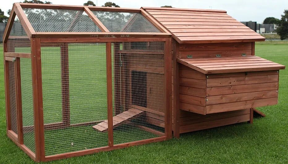 Курятник на 10 кур ferplast. Размер гнезда для несушек курей. Сарай птичник 4м * 6м. Курятники дрондина. Курятник на 50 кур.