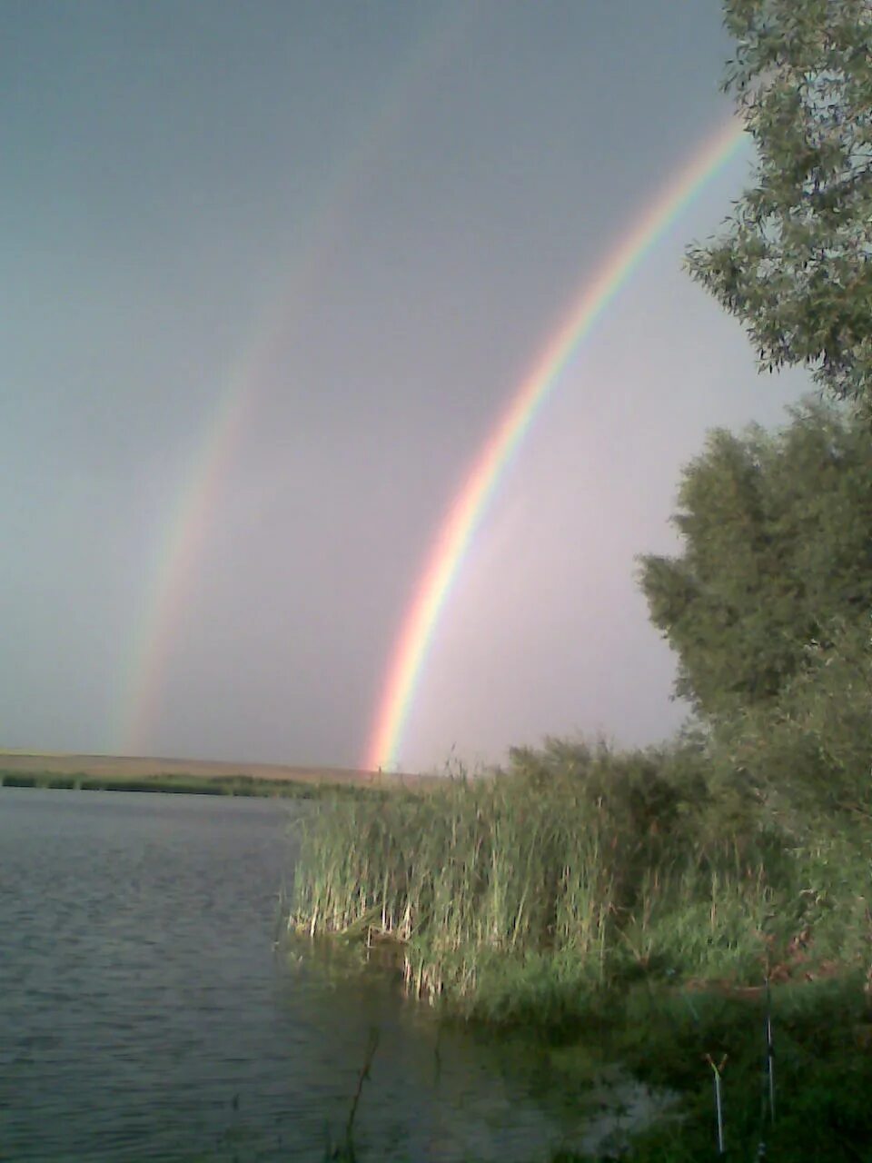 радуга над озером. коромысло радуга. радуга летом. атмосферное явление радуга. радуга в природе.