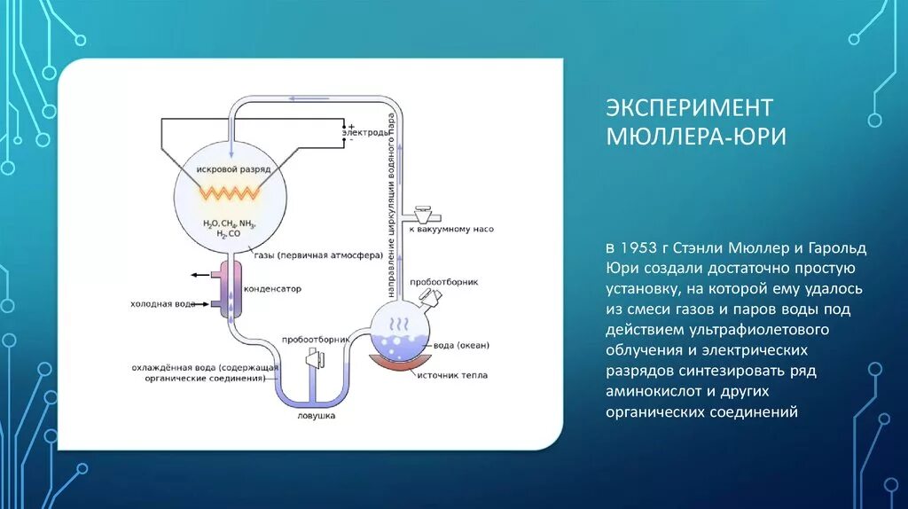 Биохимическая гипотеза опарина холдейна. Теория биохимической эволюции Опарина-Холдейна. Опыт Опарина и Холдейна. Гипотеза опыта Опарина Холдейна. Гипотеза биохимической эволюции опыт.