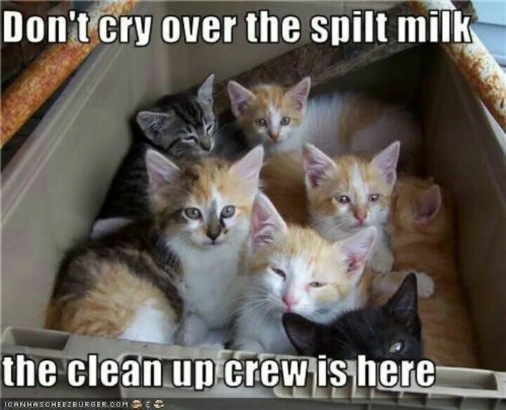 Crying over spilt milk идиома перевод. Don't Cry over spilt Milk. Cry over spilt Milk идиома. There is no use crying over spilt Milk.