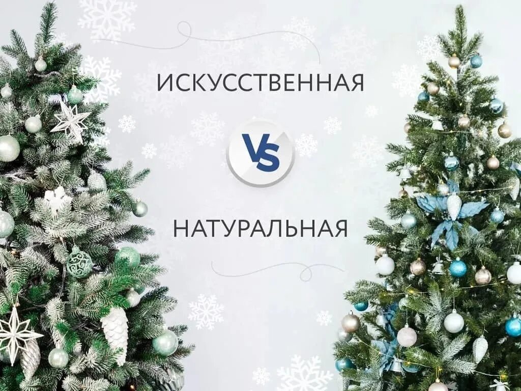 Какую елку ставить