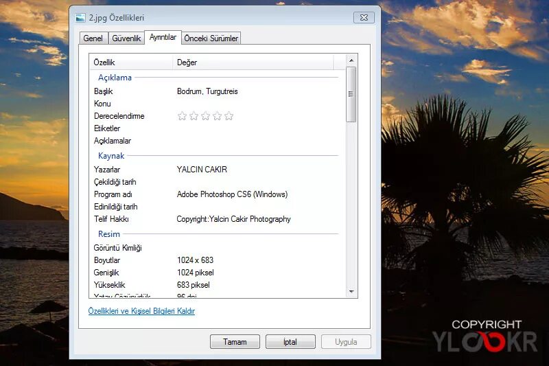 Jeffreys image metadata viewer. Jeffreys image metadata viewer