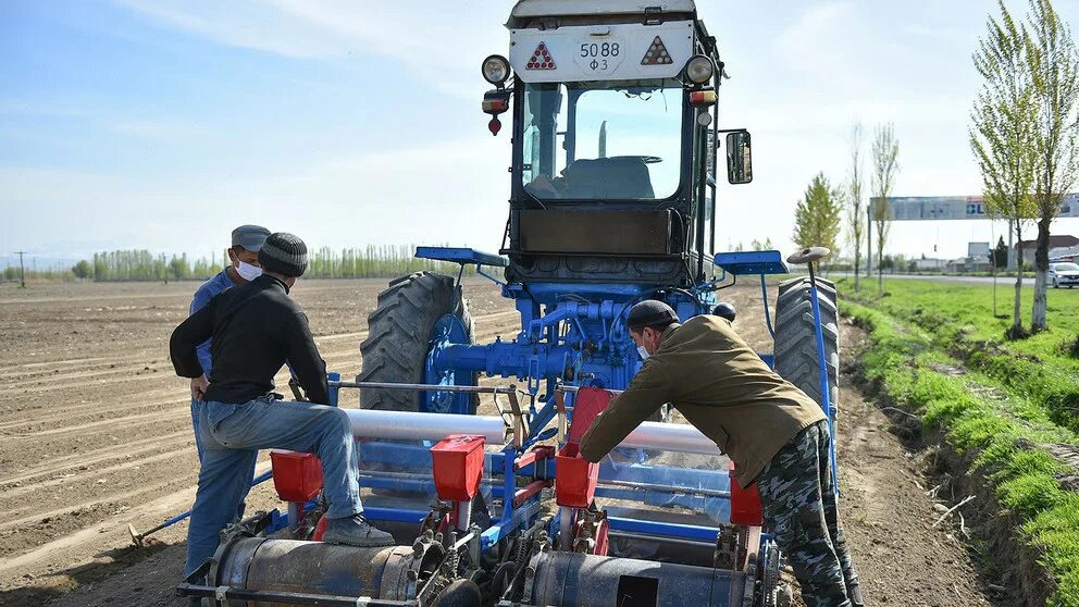 фермерство. фермер март. крестьянское фермерское хозяйство. засеянное поле. фермер с овощами.