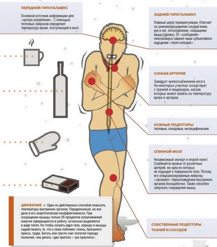 Причины жара без температуры у мужчин. Понятие переохлаждение организма. Процессы переохлаждения человека. Температура человека. Переохлаждение болезни.