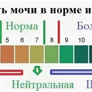 Кислотность мочи у мужчин. PH мочи. PH мочи норма. Шкала кислотности мочи. РН мочи 7.5.