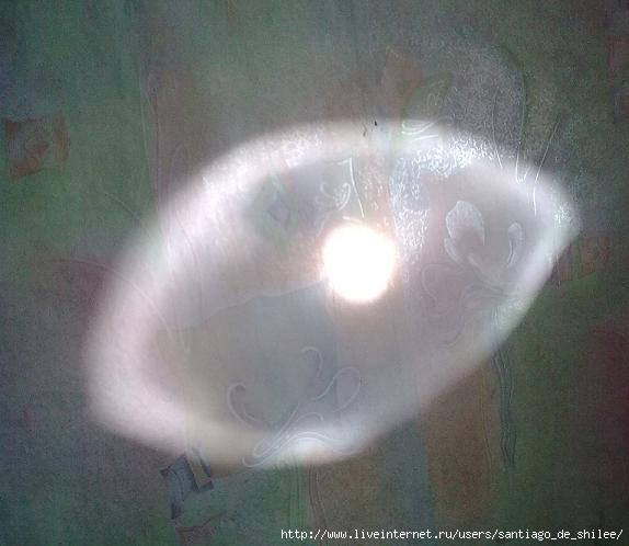 Егор летов арт карандаш яплакал. Солнечный зайчик на стене. Солнечная кошка. Котик на солнышке. Моя оборона.