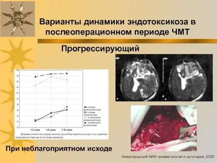 Динамика вариант
