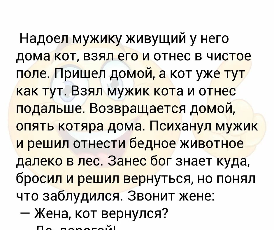 Анекдот про кота как мужик заблудился. Анекдот про кота и мужика. Надоели мужчины. Надоел мужику кот анекдот. Мужчина который жил без