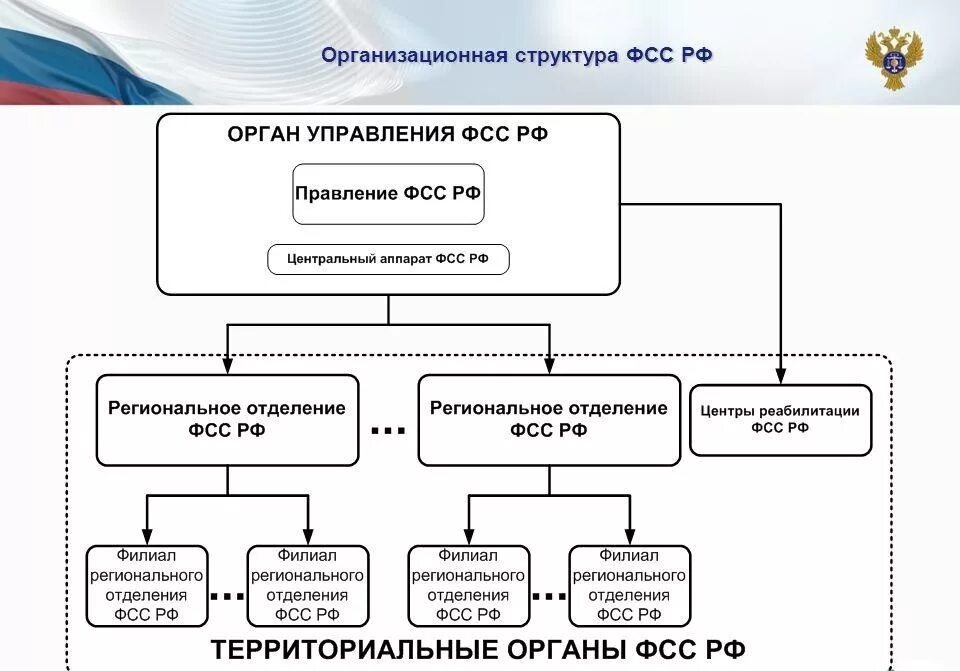 Какие органы управления существовали. Структура органов ФСС схема. Структура фонда соц страхования РФ. Структура фонда социального страхования РФ схема. Фонд ФСС РФ структура.