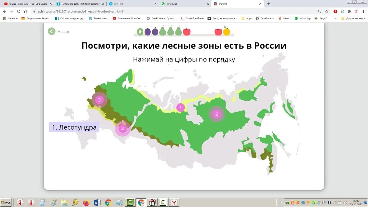 Тест лесные зоны россии. Леса России видеоурок 4 класс окружающий мир. Карта России леса России окружающий мир 1 класс. Карта природных зон России 4 класс окружающий мир. Природные зоны России 4 класс окружающий мир ВПР.