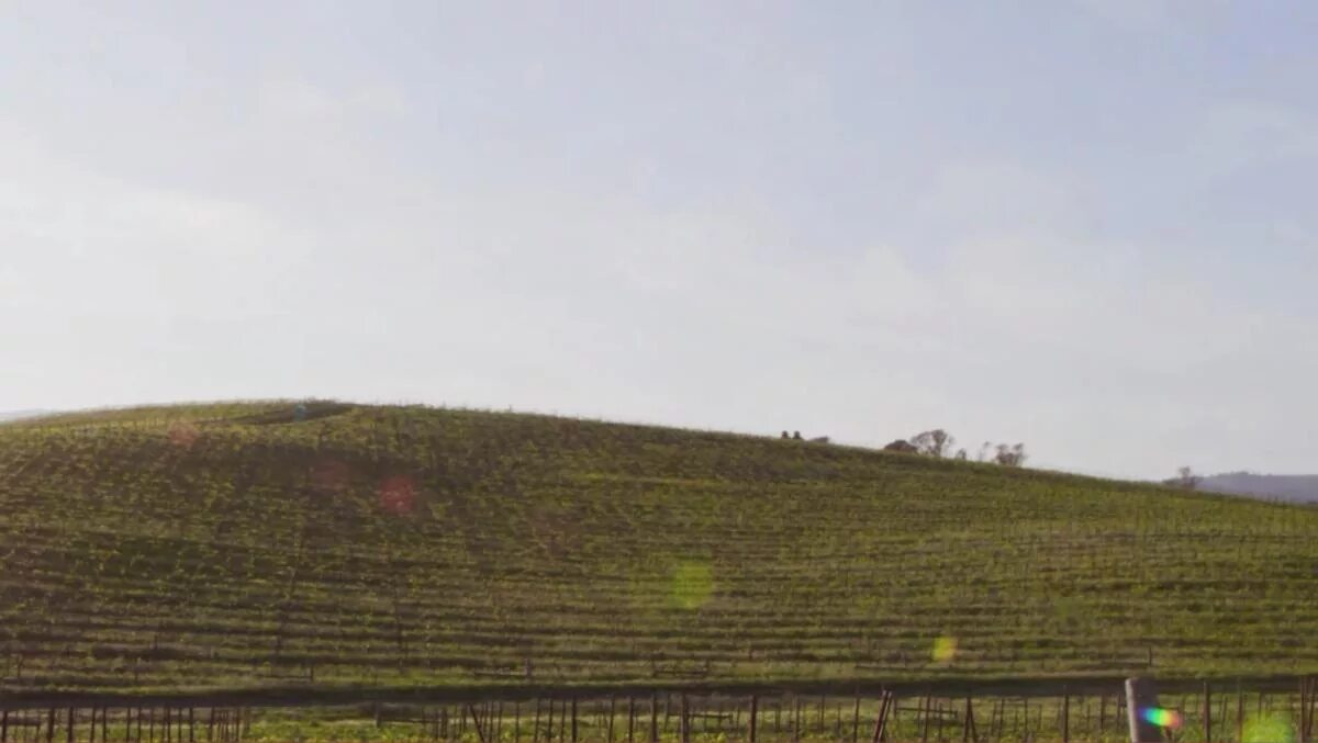 Зеленые холмы windows xp. Место где была сделана фотография. Ньепс 1826. Половодка в ельце 1970. Веретия березники.