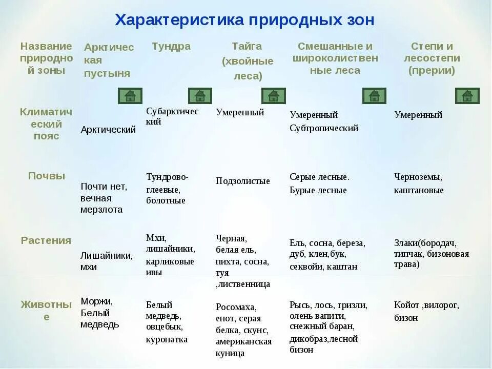 Таблица география тундра Тайга. Таблица по географии природные зоны России тайги 8 класс. Таблица почвы природных зон России 4 класс окружающий мир. Таблица Лесные зоны России Тайга. Характеристика арктических пустынь и тундры