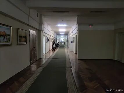 В воронежском универе видеокамеры запечатлили