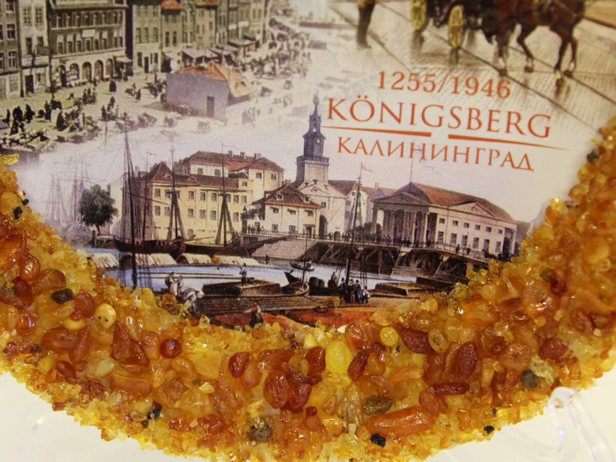 Сайт янтарный кенигсберг. Площадь победы 10 калининград. Янтарный кенигсберг экскурсии. Сайт янтарный кенигсберг. Янтарный кенигсберг туроператор.