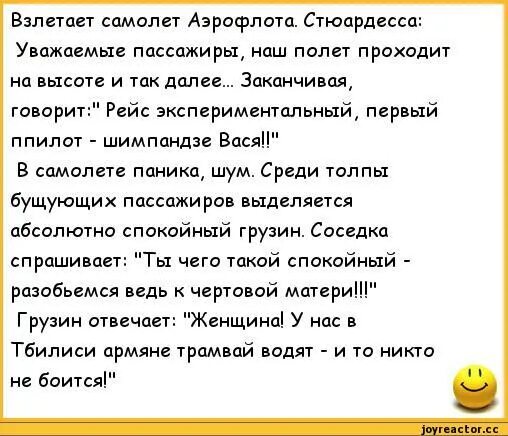 Текст перед полетом. Анекдот про самолет. Анекдоты про стюардесс. Смешные анекдоты про самолеты. Анекдоты про самолеты и полёты.