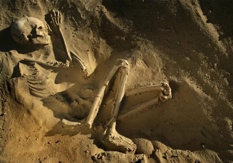 Земли исполинов. Полюдов камень отпечаток великана. Исполины нефилимы скелеты. Земли исполинов. Гигантские скелеты людей.