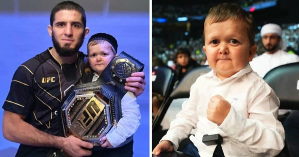 Ufc. Хасбик махачев. Ислам махачев с чемпионским поясом. Хасбик комментирует ufc аслам махачев бой. Хасбулла хушетский.