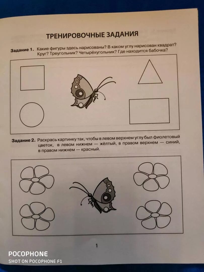 Пространственные представления 5 лет. Пространственные представления у дошкольников. задания на развитие пространственных представлений у дошкольников.