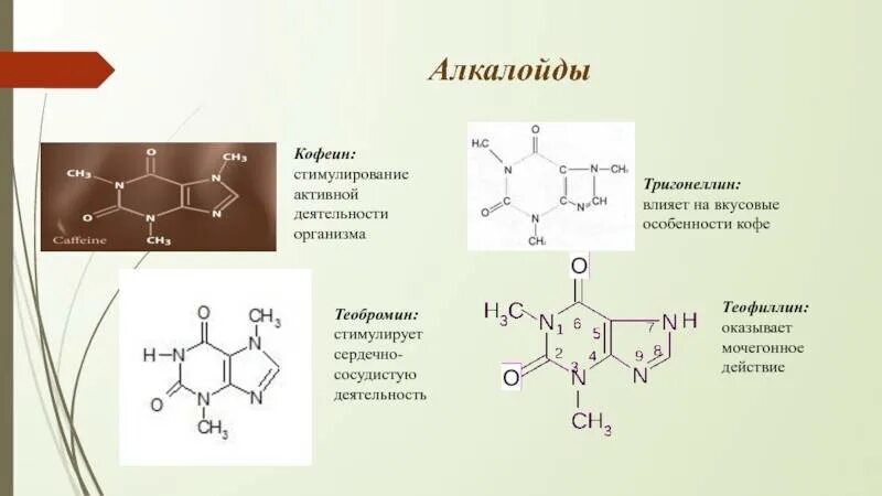 Кофеин как получают. Кофеин теофиллин формула. тригонеллин химическая формула. кофеин и теобромин. теобромин формула.