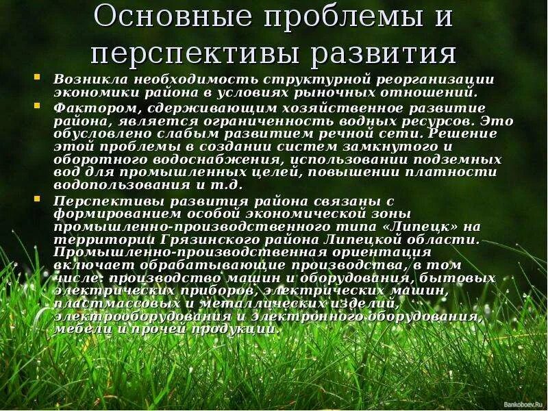 Проблемы цчр. Центрально черноземный проблемы и перспективы развития. проблемы и перспективы развития цчр. проблемы и перспективы центрально черноземного.