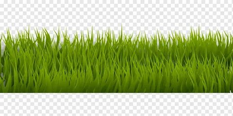 Grass se