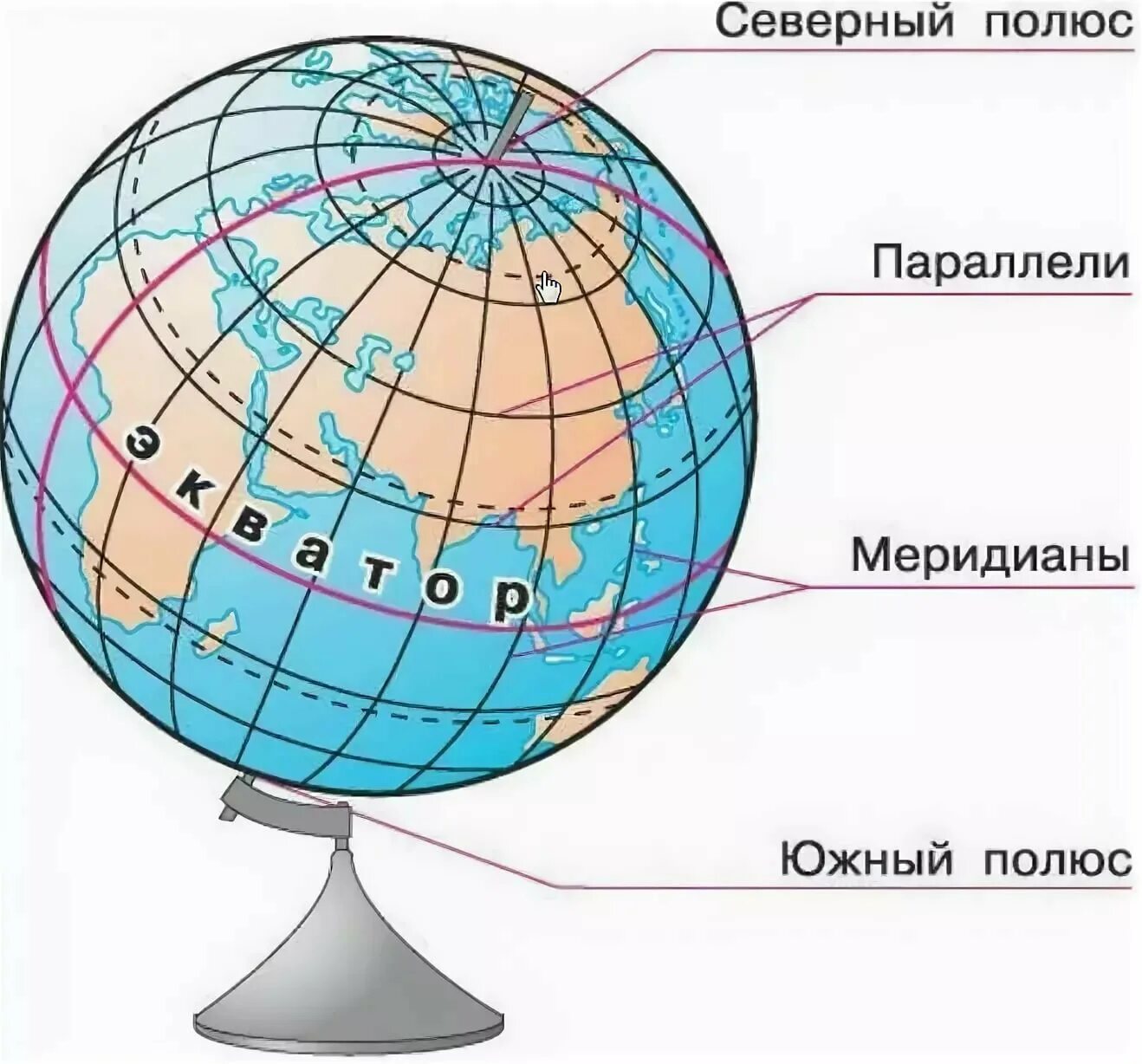 Где на земном шаре находится. Меридианы и параллели на глобусе. Строение глобуса. Глобус название линий. Глобус меридианы параллели Экватор.