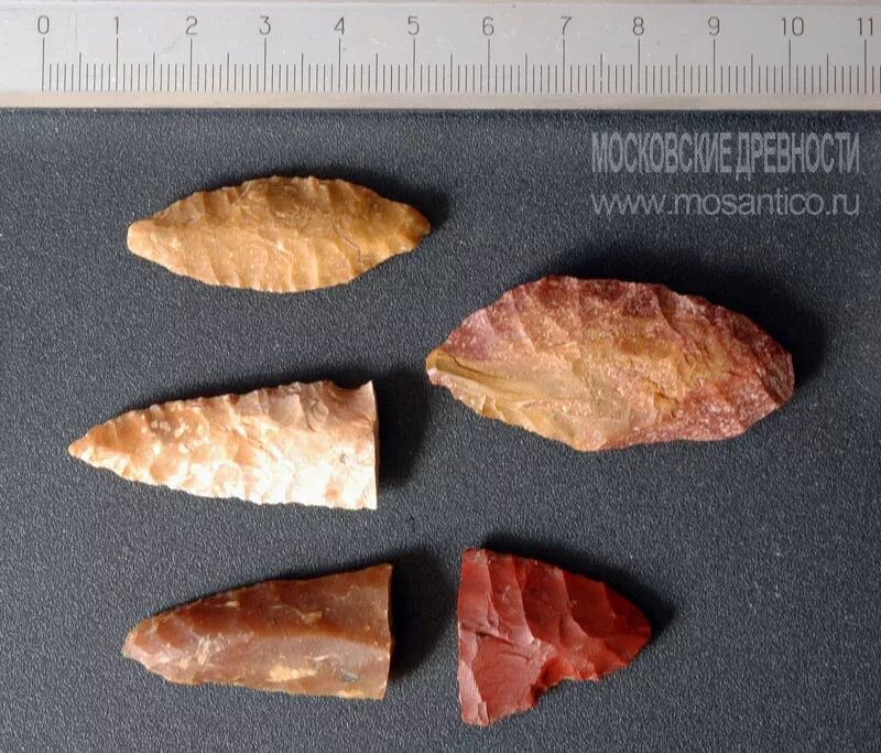 Стоянка эпохи неолита раскопки. Археологические культуры неолита. Льяловская культура неолита. Каменный век орудия труда неолит. Лидовская археологическая культура керамика.