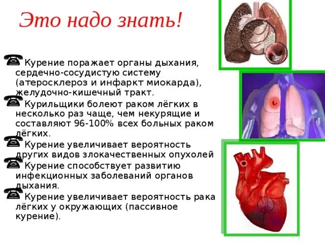 Легкими в несколько раз