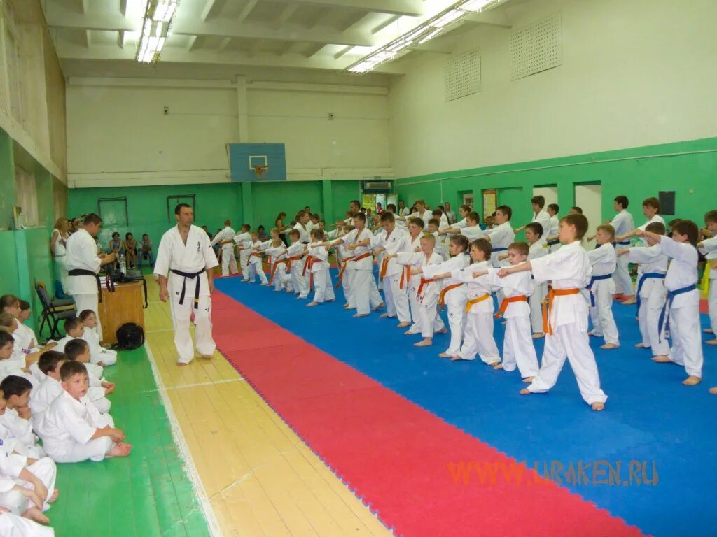 9 кю экзамен киокушинкай. Кю тест каратэ киокушинкай в сш пионер раменское. Боевые искусства. 3 кю каратэ киокушинкай. Зачет по карате.