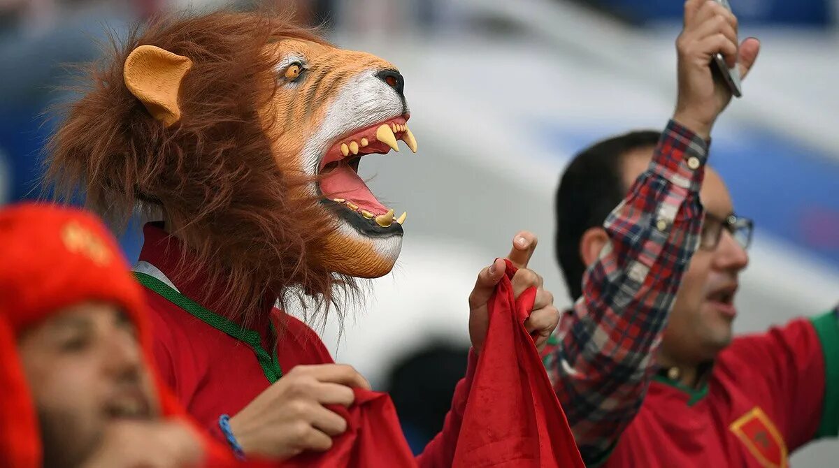 Посетив чемпионат