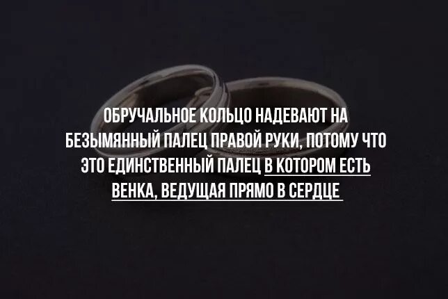Кольца цитаты. Цитаты про обручальные кольца. цитаты про кольцо. афоризмы об обручальном кольце. высказывания об обручальных кольцах.